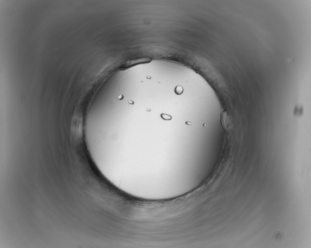 X0000096150021200802011243