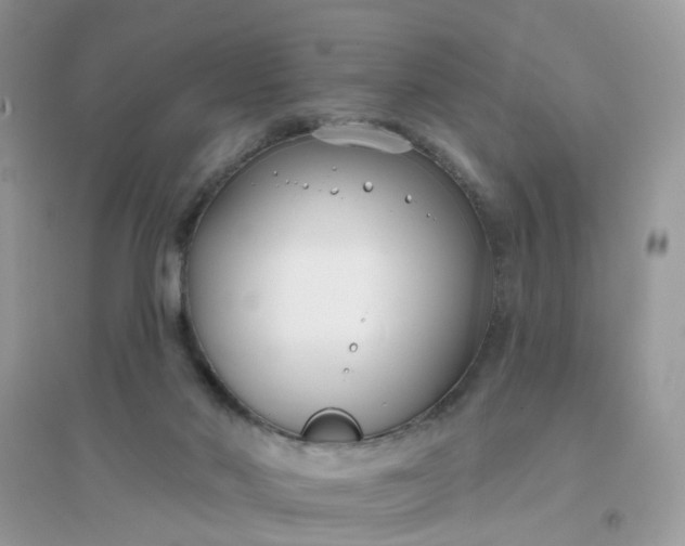 X0000096150022200802011243