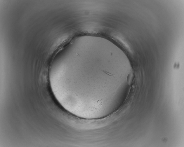 X0000096150023200802011243