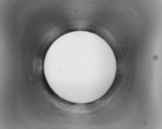 X0000096150024200802011243