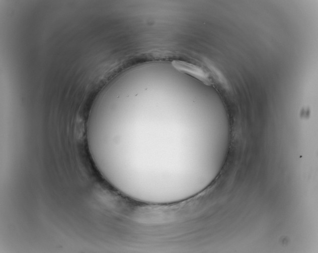 X0000096150025200802011243