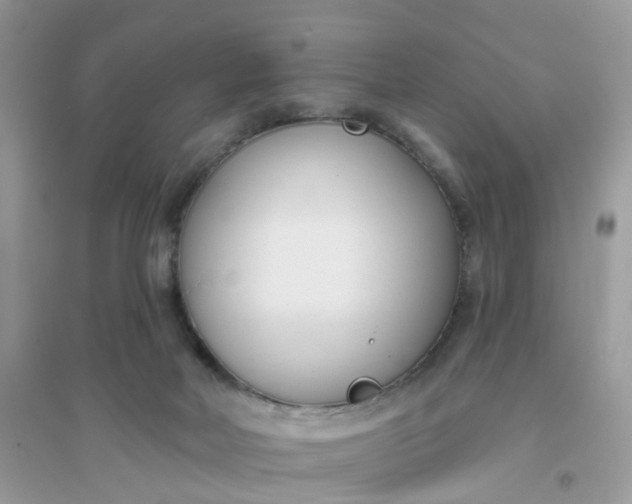 X0000096150026200802011243