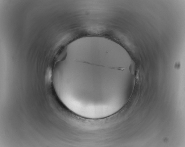 X0000096150027200802011243