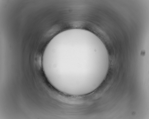 X0000096150028200802011243