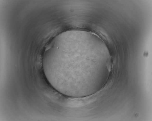 X0000096150029200802011243