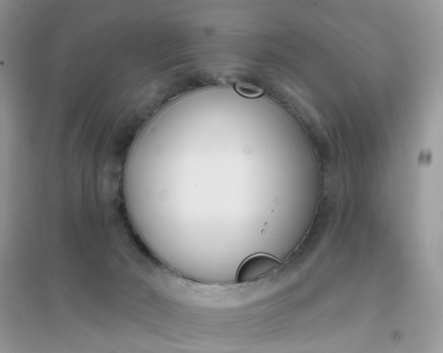 X0000096150030200802011243