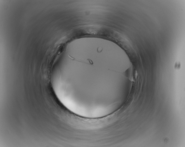 X0000096150031200802011242
