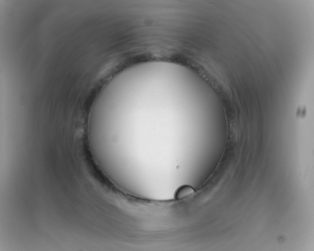 X0000096150032200802011242