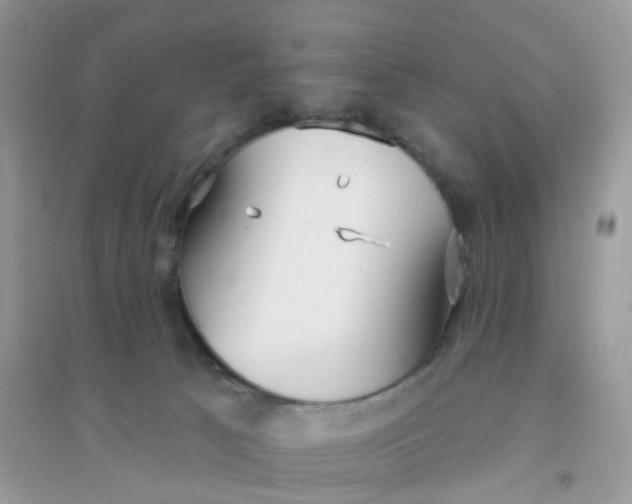 X0000096150033200802011242