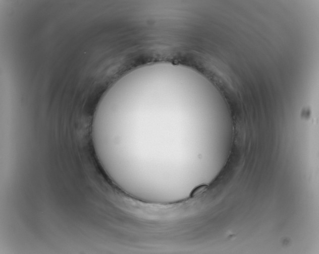 X0000096150034200802011242