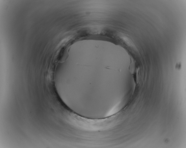 X0000096150035200802011242
