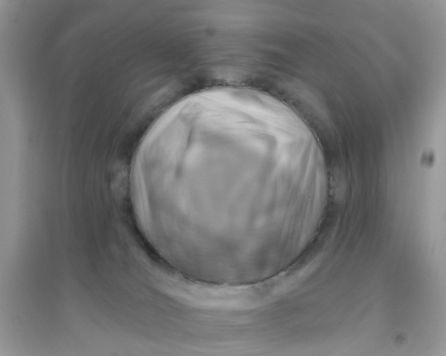X0000096150036200802011242