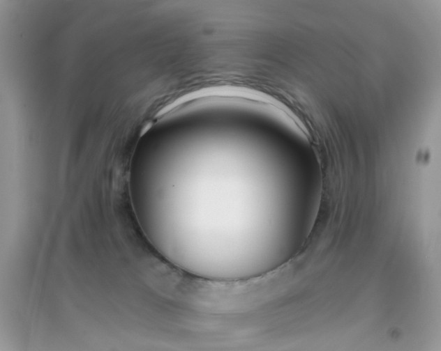 X0000096150037200802011242