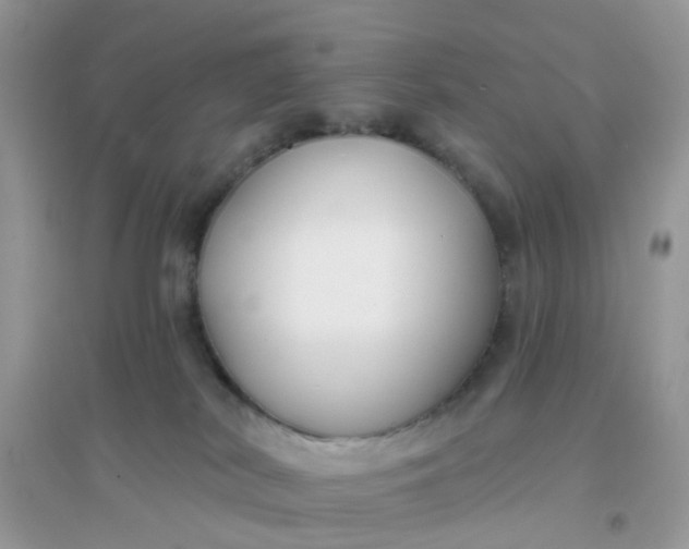 X0000096150038200802011242