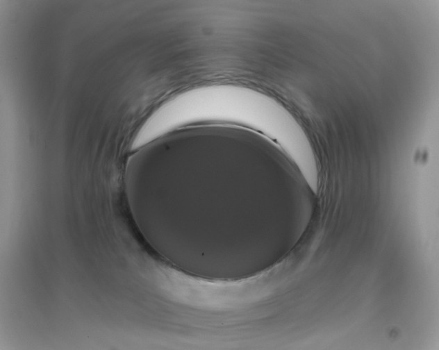 X0000096150039200802011242