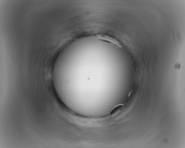 X0000096150040200802011242