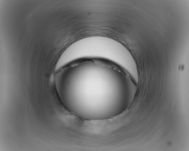 X0000096150041200802011242