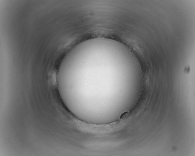 X0000096150042200802011242