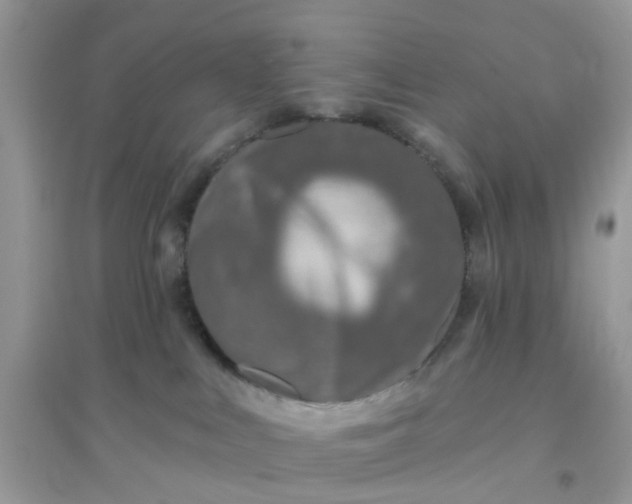 X0000096150043200802011242