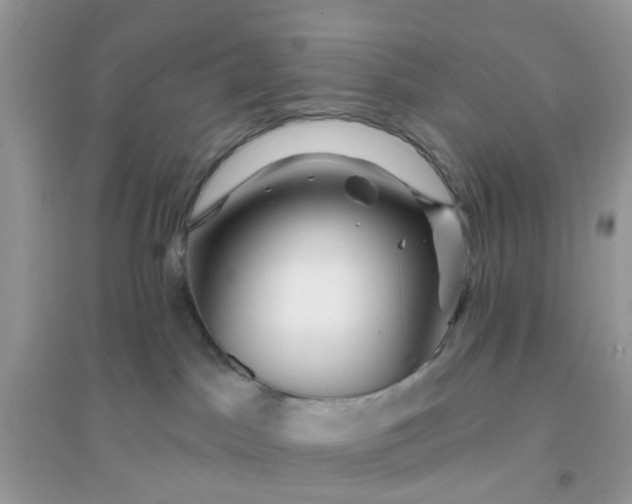 X0000096150045200802011242