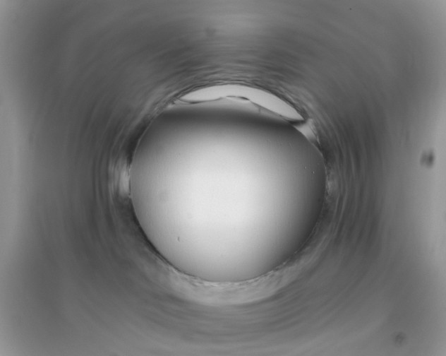 X0000096150046200802011242