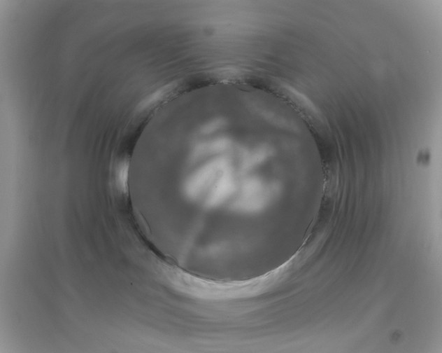 X0000096150047200802011242