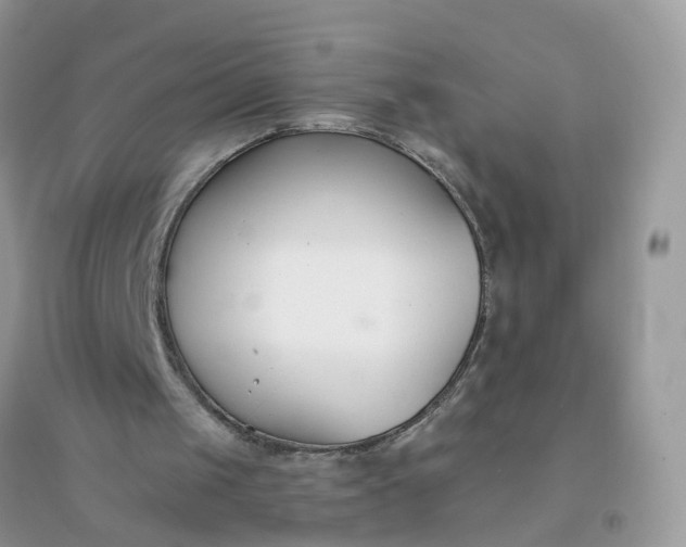 X0000096150049200802011242