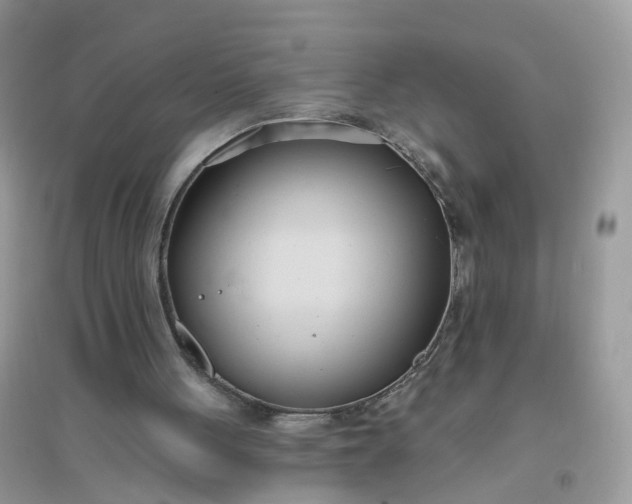 X0000096150051200802011242