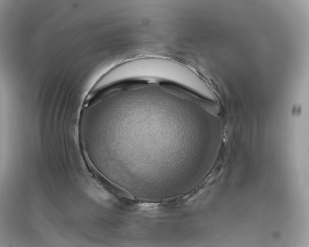 X0000096150052200802011242