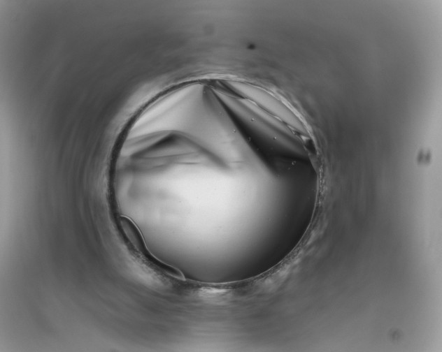 X0000096150055200802011242