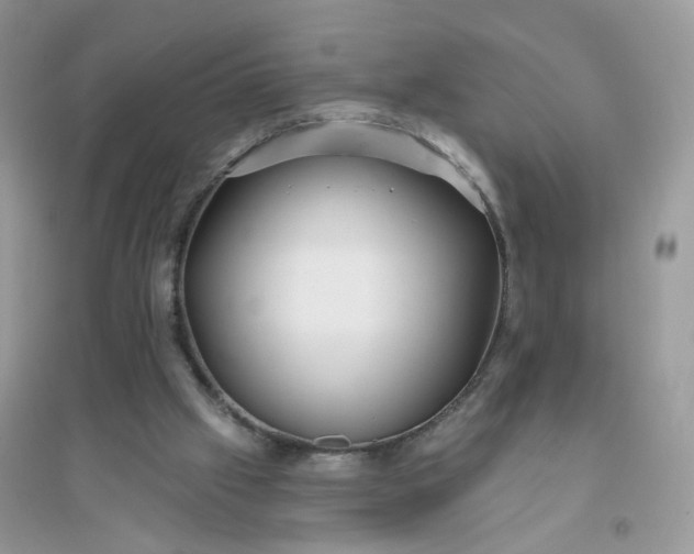 X0000096150057200802011242