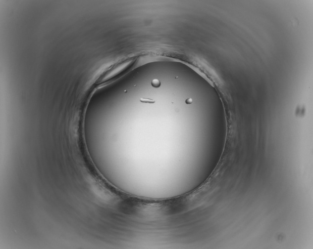 X0000096150058200802011242