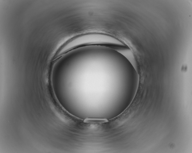 X0000096150060200802011242
