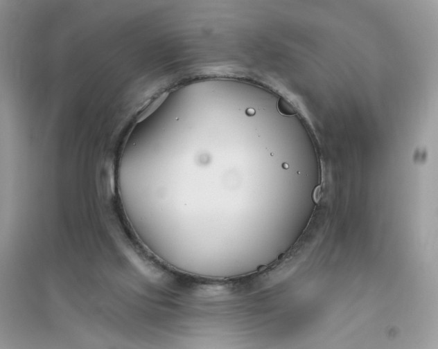 X0000096150061200802011242