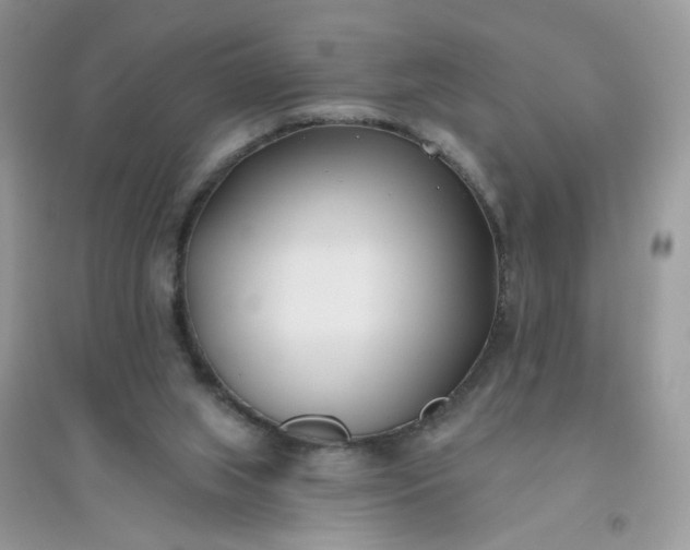 X0000096150063200802011242