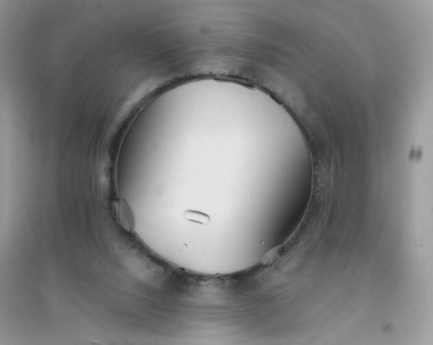 X0000096150064200802011242