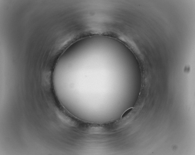 X0000096150066200802011242