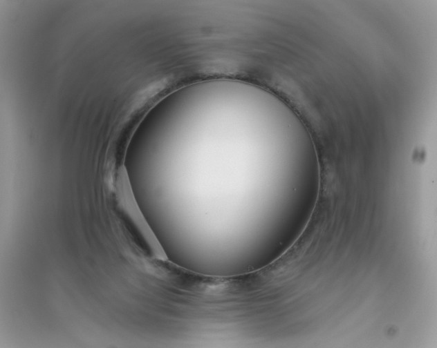 X0000096150068200802011242