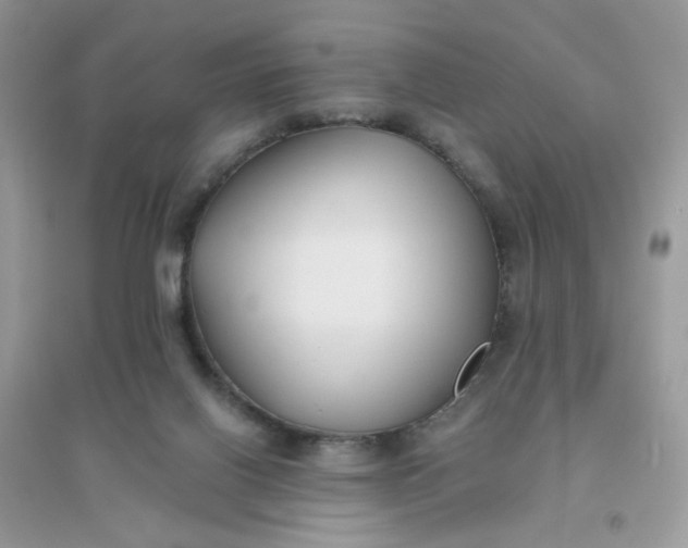 X0000096150070200802011242