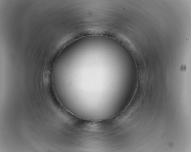 X0000096150071200802011242
