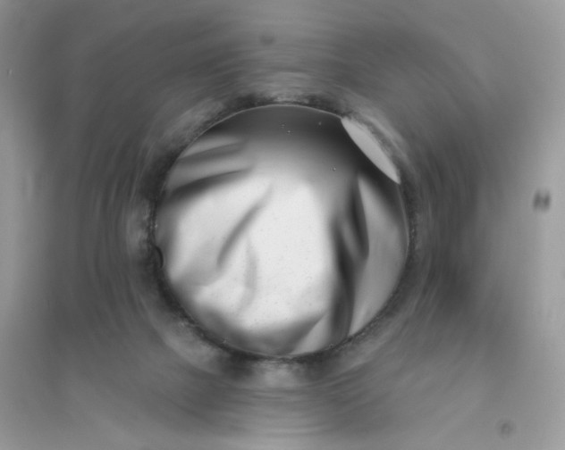 X0000096150073200802011242
