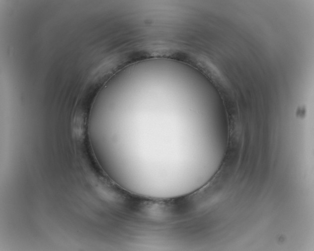 X0000096150074200802011242