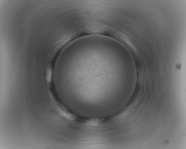 X0000096150076200802011242