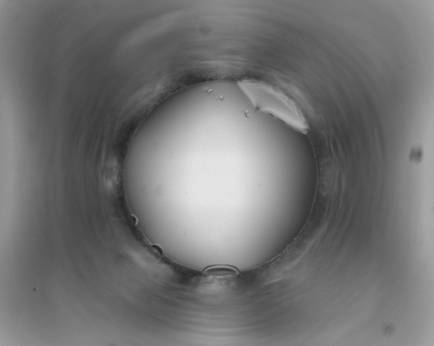 X0000096150077200802011242