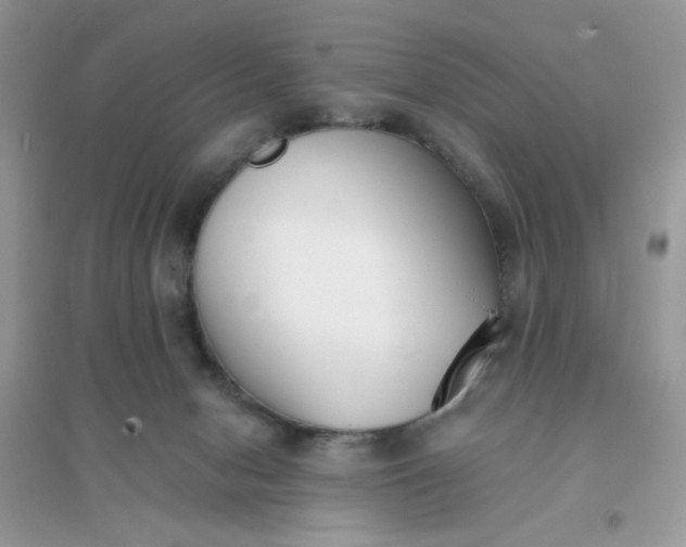 X0000096150078200802011242