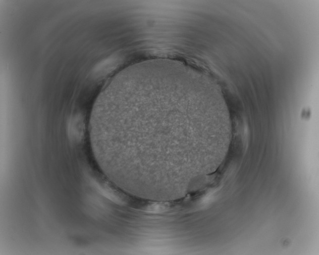 X0000096150080200802011242