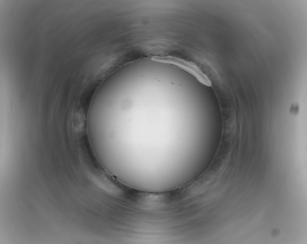 X0000096150081200802011242