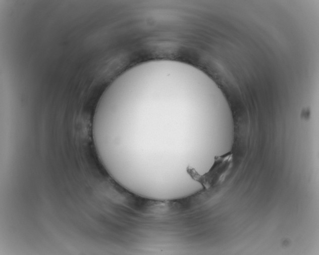 X0000096150083200802011242