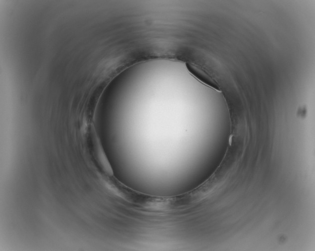 X0000096150084200802011242