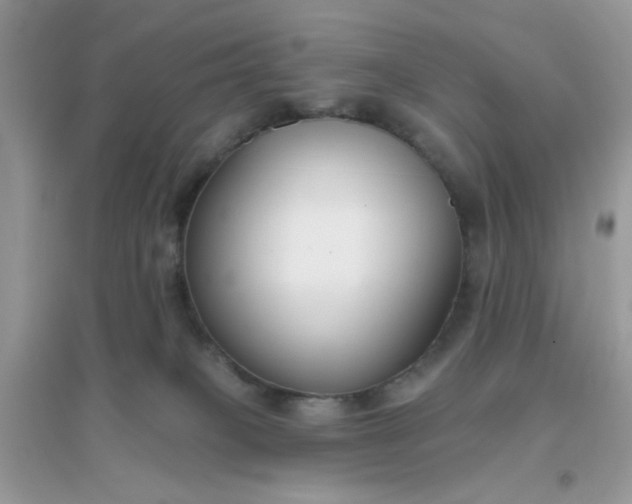 X0000096150085200802011242